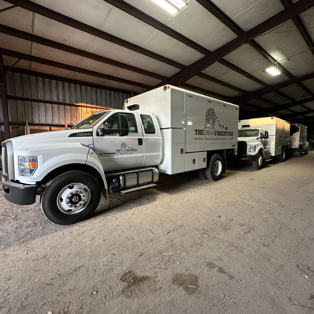 Urban Forester Decals